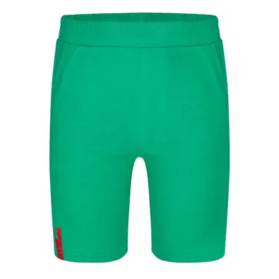 Boys' shorts LOAP BOOVID Green