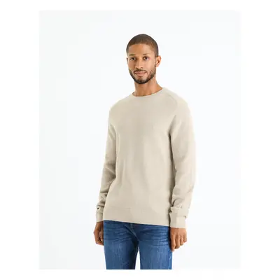 Celio Femoon Sweater - Men's