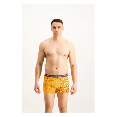 Men's boxers Frogies Zodiac Oroszlán