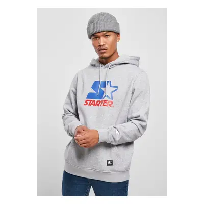 Starter Two Color Logo Hoody h.Gray