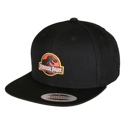 Black Snapback with Jurassic Park logo