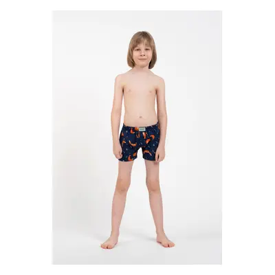 Boys' boxer shorts Witalis - print