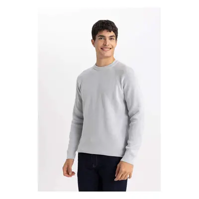 DEFACTO Standard Fit Regular Cut Crew Neck Basic Plain Knitwear Sweater