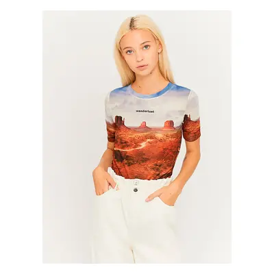 Blue-Brown Translucent Crop Top TALLY WEiJL - Women