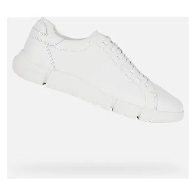 White men's sneakers Geox Adacter - Men's