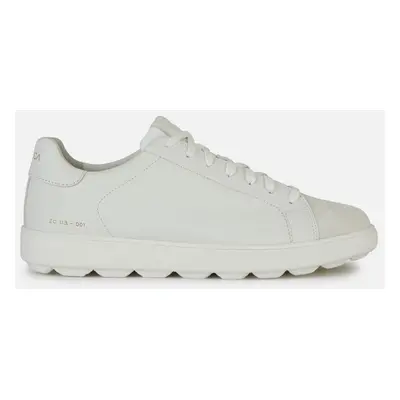 White men's sneakers Geox Spherica Ecub-1 - Men's