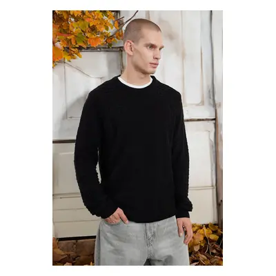 Trendyol Black Regular Crew Neck Textured Knitwear Sweater