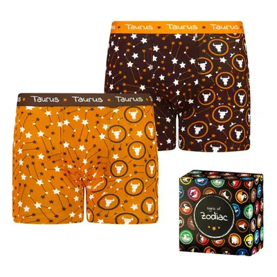 Men's boxers Frogies Zodiac Bika 2P Gift box