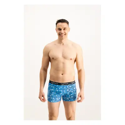 Men's boxers Frogies Zodiac Nyilas