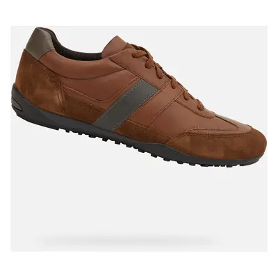 Brown men's sneakers Geox Wells - Men's