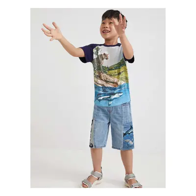 Cream-blue boys patterned T-Shirt Desigual Aguacate - Boys