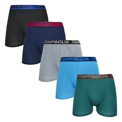 5PACK men's boxers Gianvaglia multicolored