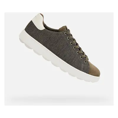 Khaki men's sneakers Geox Spherica Ecub-1 - Men's