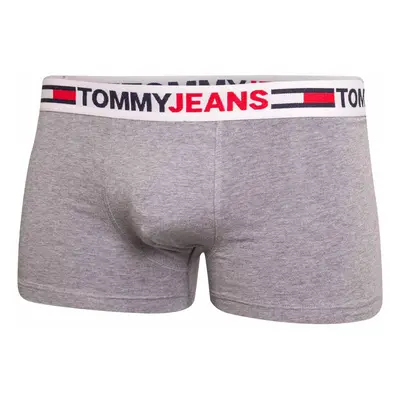 Tommy Hilfiger Jeans Man's Underpants UM0UM02401P4A