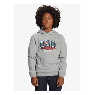 Light Grey Boys Hoodie DC Jahmir - Boys