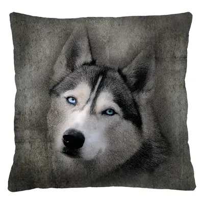 Bertoni Home Unisex's Square Pillow Husky