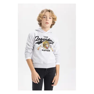 DEFACTO Boy&#39;s Hooded Printed Sweatshirt