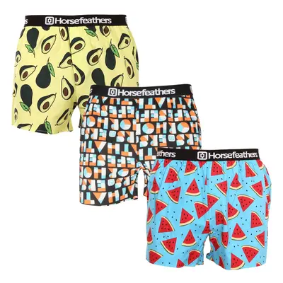 3PACK Men's Boxer Shorts Horsefeathers Frazier multicolored