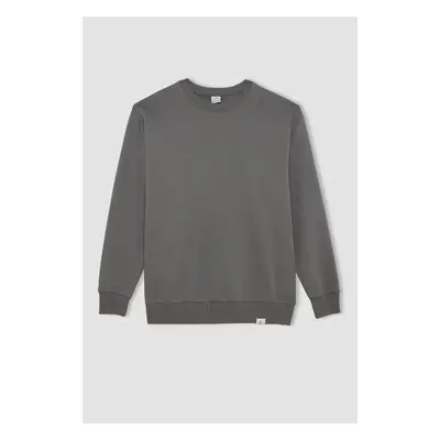 DEFACTO Oversize Wide Pattern Crew Neck Thick Basic Plain Sweatshirt