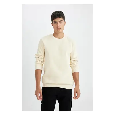 DEFACTO Regular Fit Crew Neck Basic Plain Sweatshirt