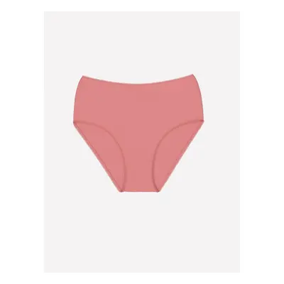 LC Waikiki Plain Classic Panties