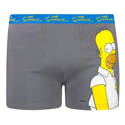 Férfi boxeralsó Character Simpsons 1P