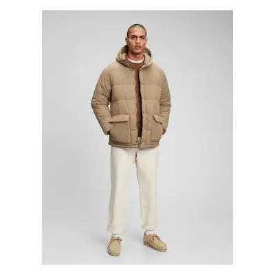 GAP Winter Hooded Jacket - Men