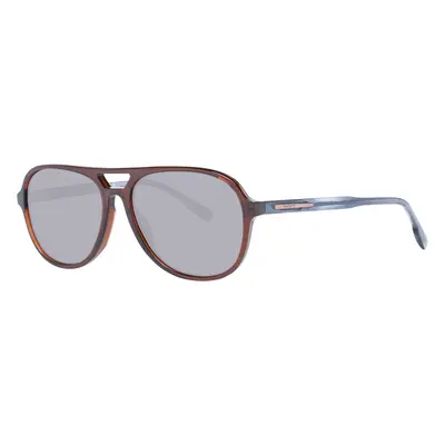 Hackett Sunglasses