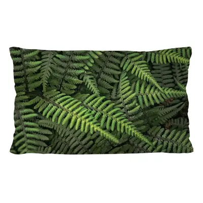 Bertoni Home Unisex's Rectangular Pillow Ferns