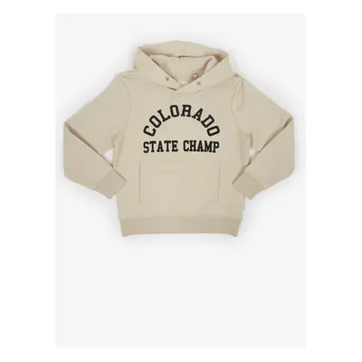 Beige boys' hoodie Tom Tailor - Boys