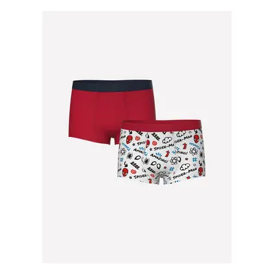 LC Waikiki Printed Boy's Boxer Set of