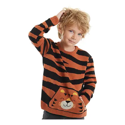 Denokids Tiger Boy Brown Sweater