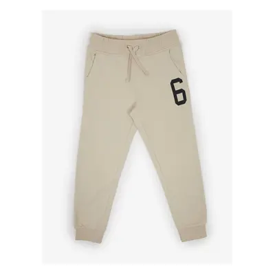 Beige boys' sweatpants Tom Tailor - Boys