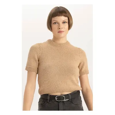 DEFACTO Fitted Crew Neck Short Sleeve Knitted Sweater