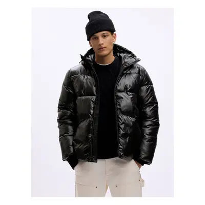 GAP PrimaLoft Quilted Hooded Jacket - Men's