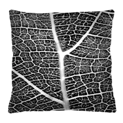 Bertoni Home Unisex's Square Pillow Tkanka