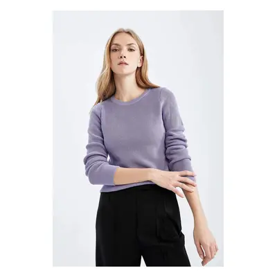 DEFACTO Regular Fit Crew Neck Thessaloniki Fabric Pullover