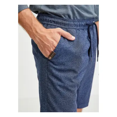 Men's dark blue Ragwear Zyan shorts - Men's