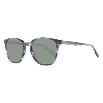 Hackett Sunglasses