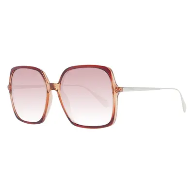 Max & Co Sunglasses