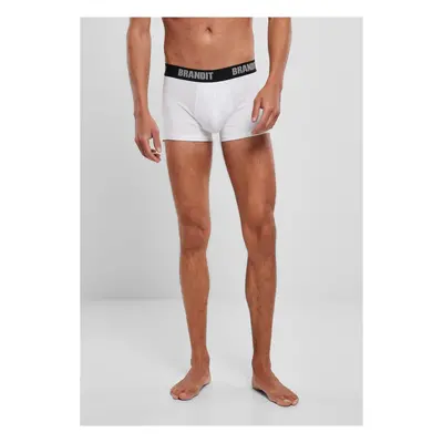 Boxer Shorts Logo 2er Pack wht/blk