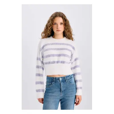 DEFACTO Regular Fit Striped Crew Neck Knitwear Sweater