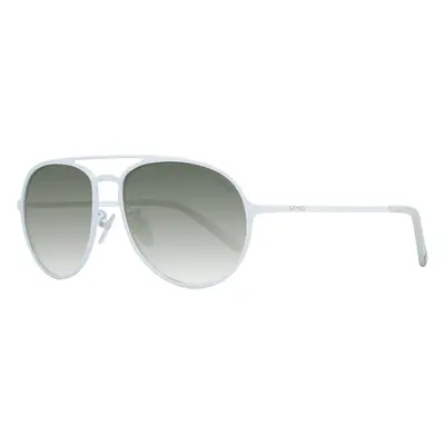 Sting Sunglasses