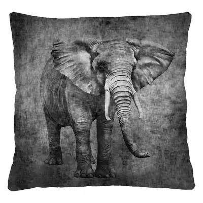 Bertoni Home Unisex's Square Pillow Kongo