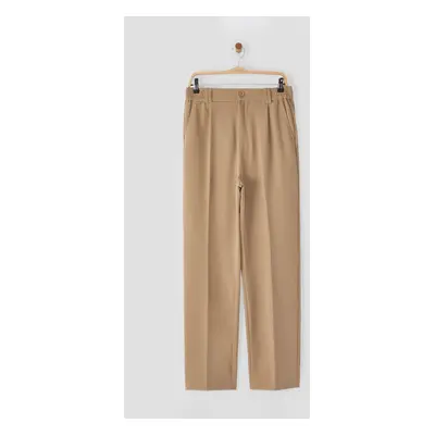 Trendyol Beige Wideleg Baggy Relaxed Fit Woven Fabric Trousers