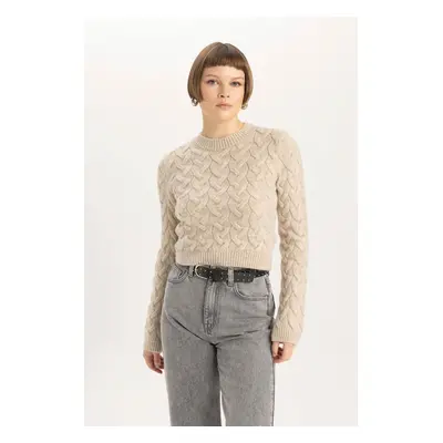 DEFACTO Crop Crew Neck Knitwear Sweater