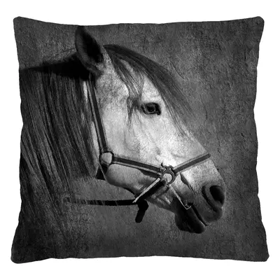 Bertoni Home Unisex's Square Pillow Mistral