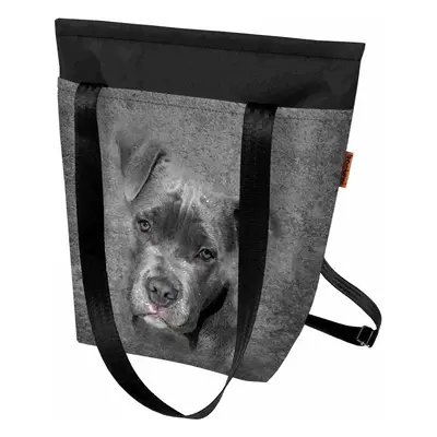 Bertoni Unisex's Backpack/Bag 2in1 Pit Bull