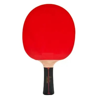 Table tennis bat Donic Schildkröt Waldner