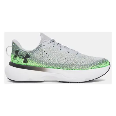 Men's shoes Under Armour UA Infinite - Men's